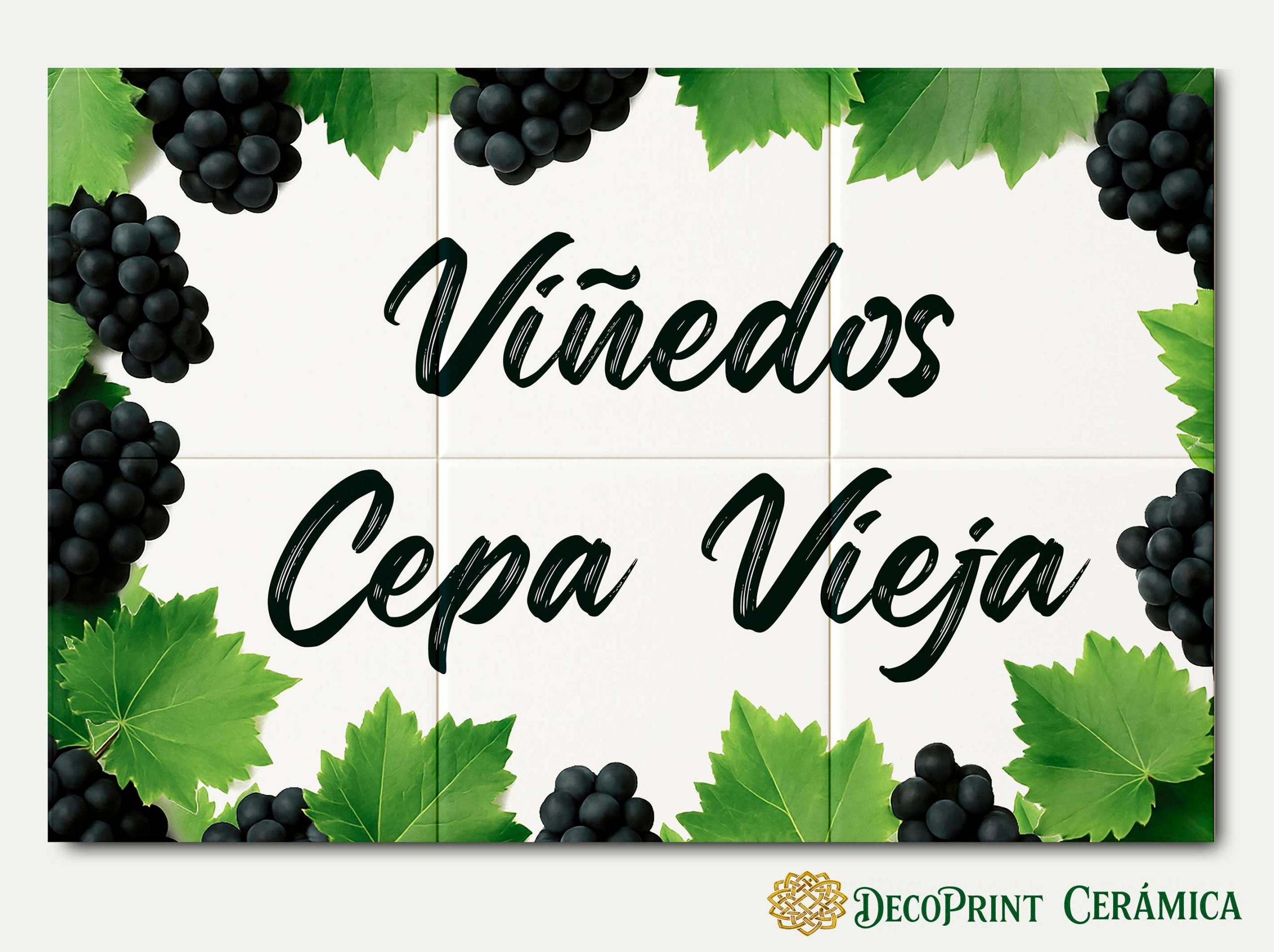 Viñedos Cepa Vieja
